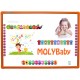 Интерактивная доска MolyBoard IR-9083C (Инфракрасная 79", для детского сада)
